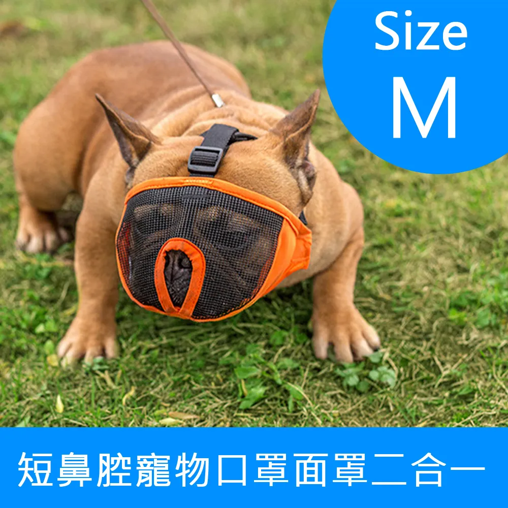 艾寵樂 仿樹牆 防濺尿可拆卸尿便盆 寵物尿盆 狗犬尿盆 公狗帶牆款 歷史價格詳細信息