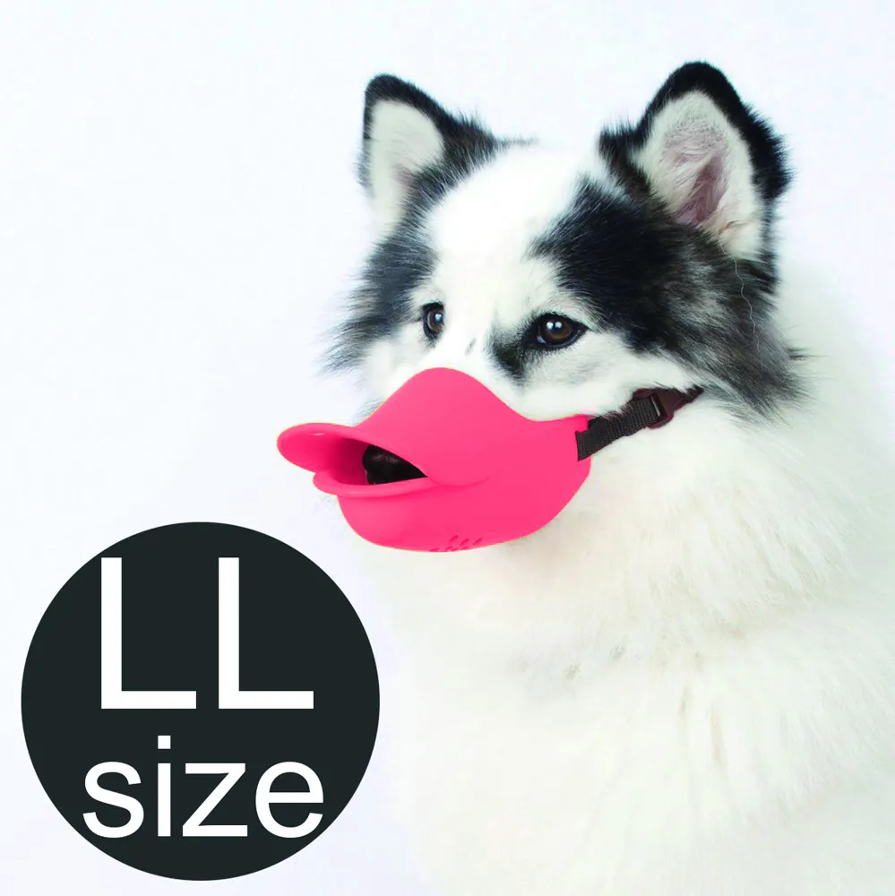 創意櫻桃陶瓷寵物飲水機 陶瓷貓咪飲水機喝水器 流動自動喂水器 狗狗喝水器不濕嘴 寵物喂水器 自動喂食器貓咪喝水碗 全店滿400元發貨 小琦琦の店 歷史價格詳細信息