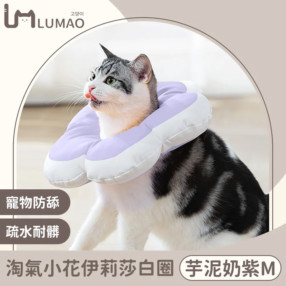 LUMAO 半包圍式寵物貓狗飛碟陶瓷碗+金屬斜口碗架 淺綠深碗 歷史價格詳細信息