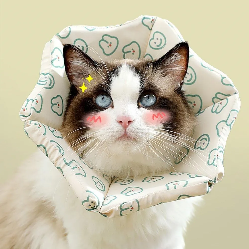 套頸式防風面罩 騎行保暖面罩 全罩式防風口罩 機車騎士口罩 保暖口罩  防塵面罩 高端加厚版 耐用型-清倉品2.5折 歷史價格詳細信息