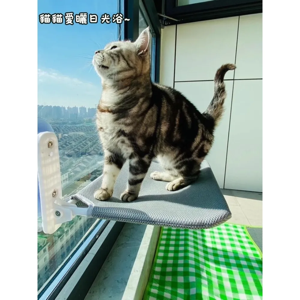 【掛喵喵】貓咪皮質鑰匙圈卡套(吊飾 鑰匙扣 證件套 票卡夾 卡片夾 悠遊卡套 信用卡套 識別證套) 歷史價格詳細信息