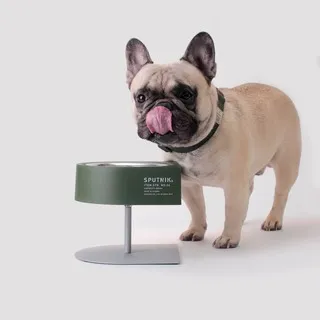 -PET BOWL【防滑耐摔彩色狗碗 小】適合小型犬用 顏色隨機出貨 歷史價格詳細信息