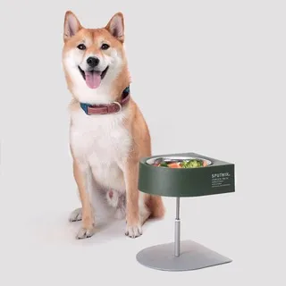 -PET BOWL【防滑耐摔彩色狗碗 小】適合小型犬用 顏色隨機出貨 歷史價格詳細信息