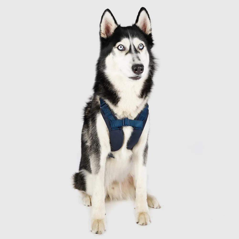 斯普尼克SPUTNIK-EXPLORE/寵物胸背帶Harness紅色L 歷史價格詳細信息