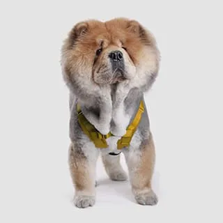 斯普尼克SPUTNIK-EXPLORE/寵物胸背帶Harness紅色L 歷史價格詳細信息