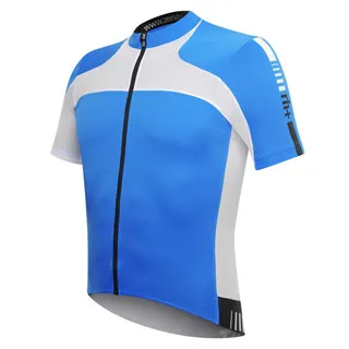 ●【色瞇瞇海報龍】DINOSAURIA - 暴龍 進口夜光複製畫 歷史價格詳細信息