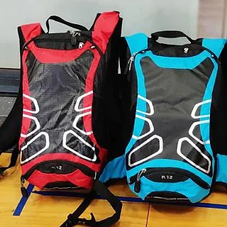 專業騎行背包山地車包腳踏車後背包運動多倉位防水耐磨超輕透氣6L車迷辰 歷史價格詳細信息