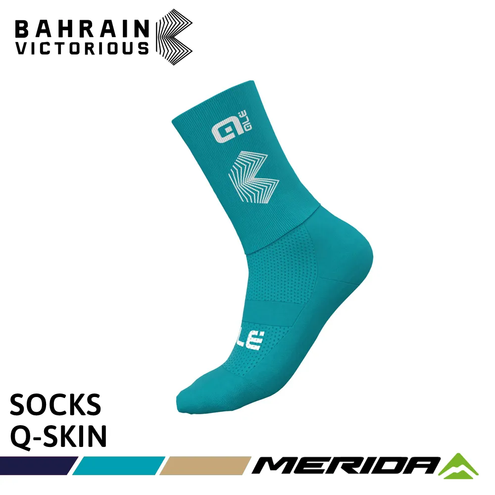 《MERIDA》美利達 巴林勝利車隊版吊帶短車褲 2024 歷史價格詳細信息