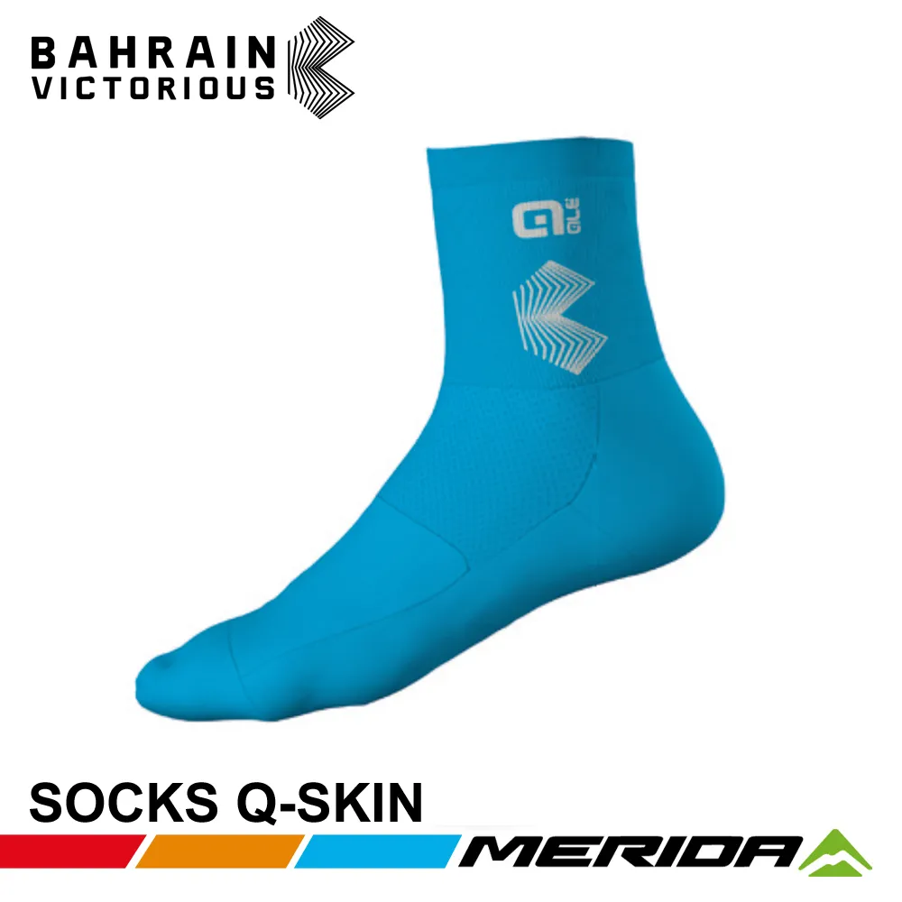 《MERIDA》美利達 巴林勝利車隊版吊帶短車褲 2024 歷史價格詳細信息