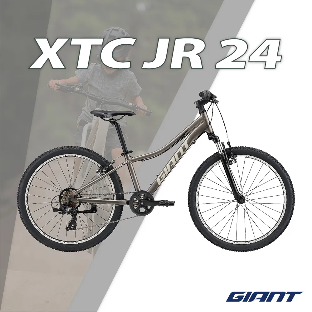 GIANT XTC 800 歷史價格詳細信息