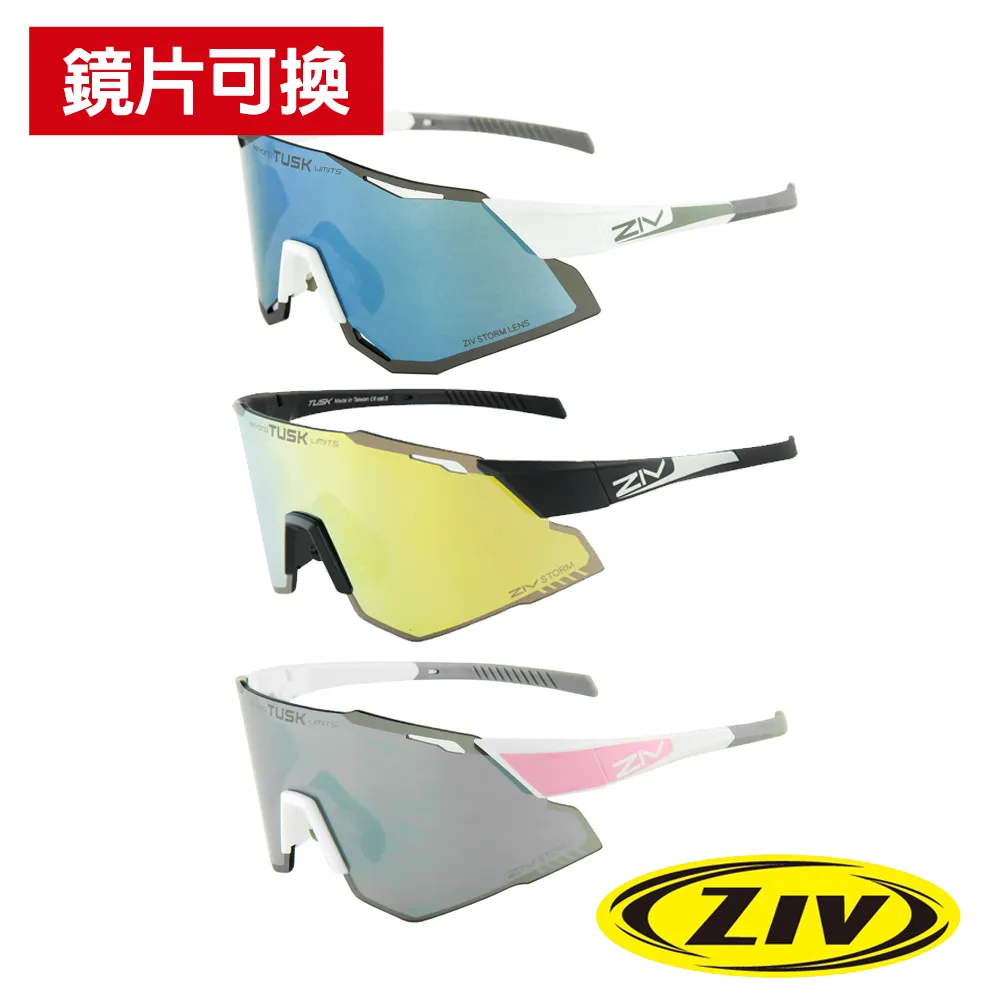 《ZIV》運動太陽眼鏡/護目鏡ARMOR XS 青少年系列 小臉型 歷史價格詳細信息