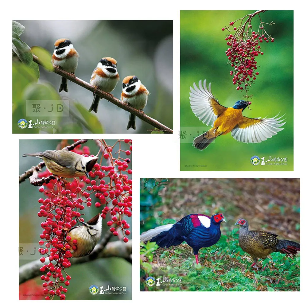 琉璃白鳥藍字白蛇爆閃版正版日系原創jk制服格裙百褶黑百搭裙 歷史價格詳細信息