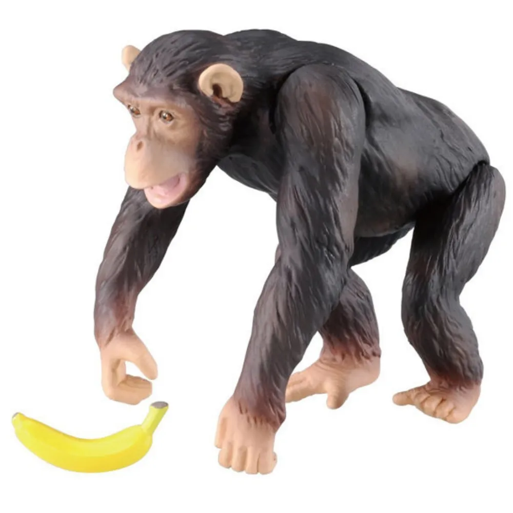 TOMICA AS-24 無尾熊 AN81126 多美動物園 歷史價格詳細信息