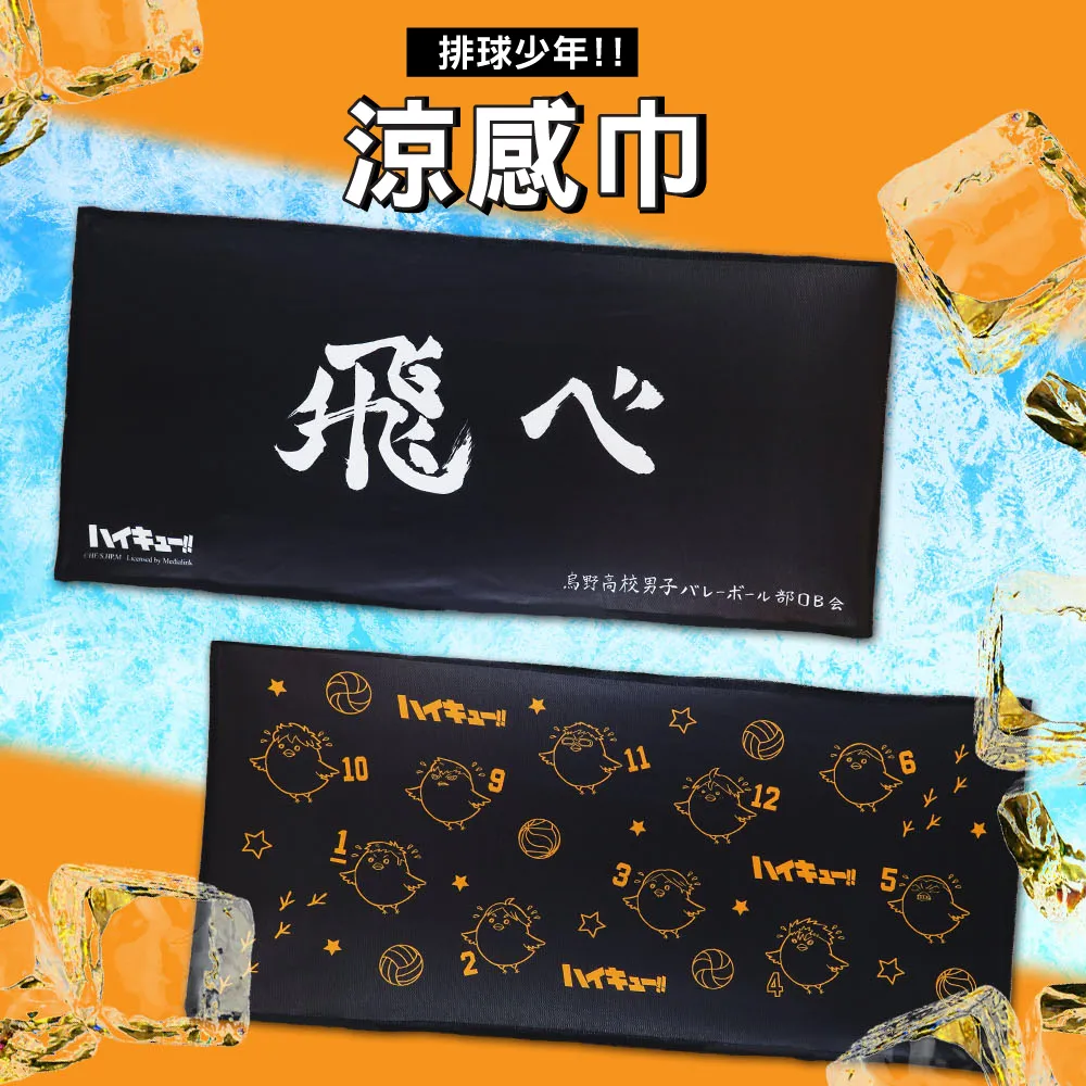 排球少年系列 造型卡套 歷史價格詳細信息