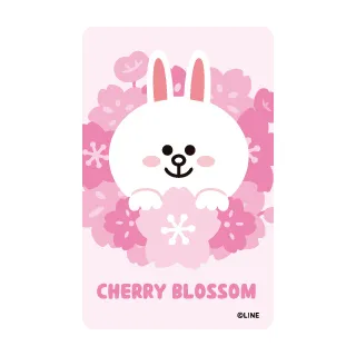 Brown &Friends牛年 熊大收納袋 歷史價格詳細信息