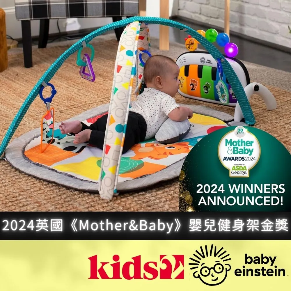 【美國kids2】Baby Einstein Oball奧波軟球波浪鼓 BE-67650 歷史價格詳細信息