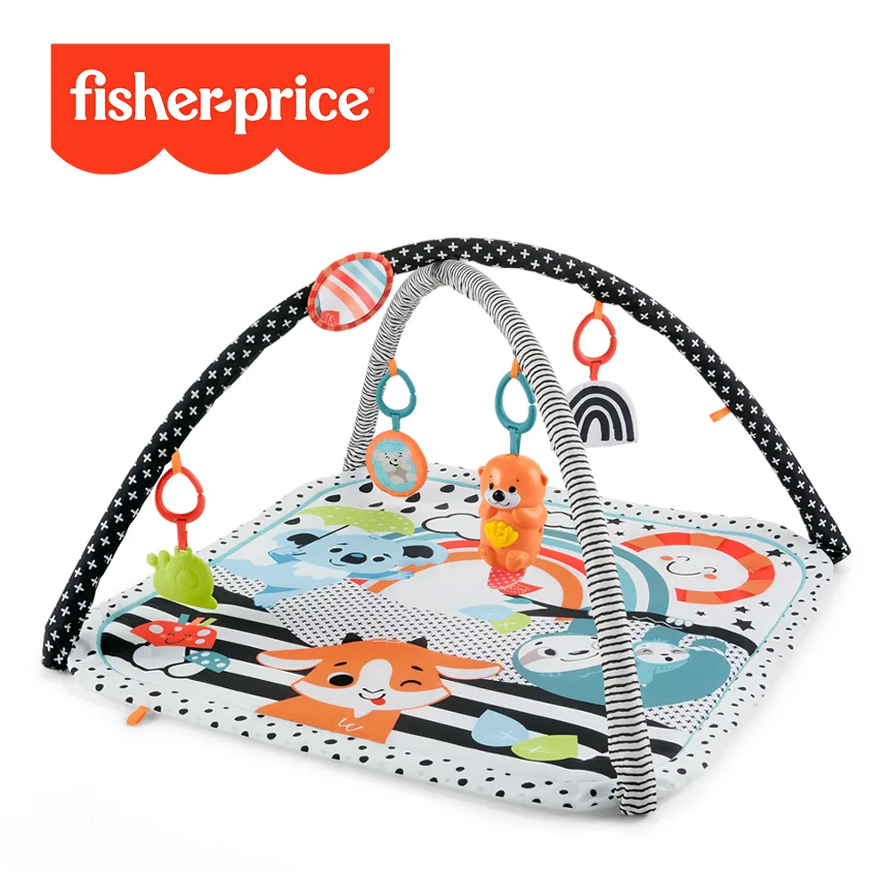 【奇哥】Fisher-Price 費雪 視覺啟蒙健身器+安撫瞌睡雲朵 歷史價格詳細信息