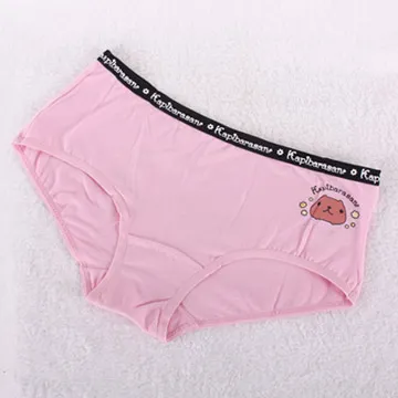 Kapibarasan 水豚君田園農場立體小公仔吊飾-田園 歷史價格詳細信息