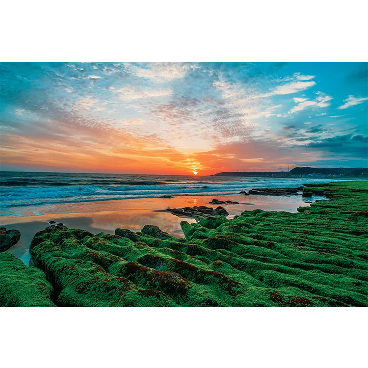 台灣之美1000片拼圖/南投-三育基督學院 歷史價格詳細信息