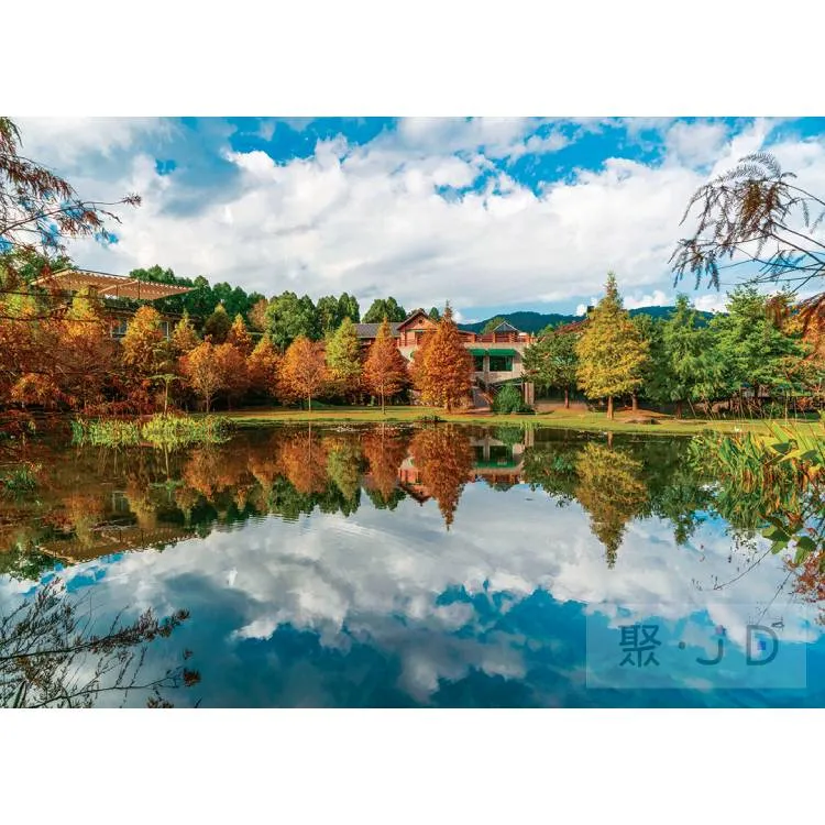 台南湖美星巴克中杯飲料卷x2  (2024/11/30 到期) 歷史價格詳細信息