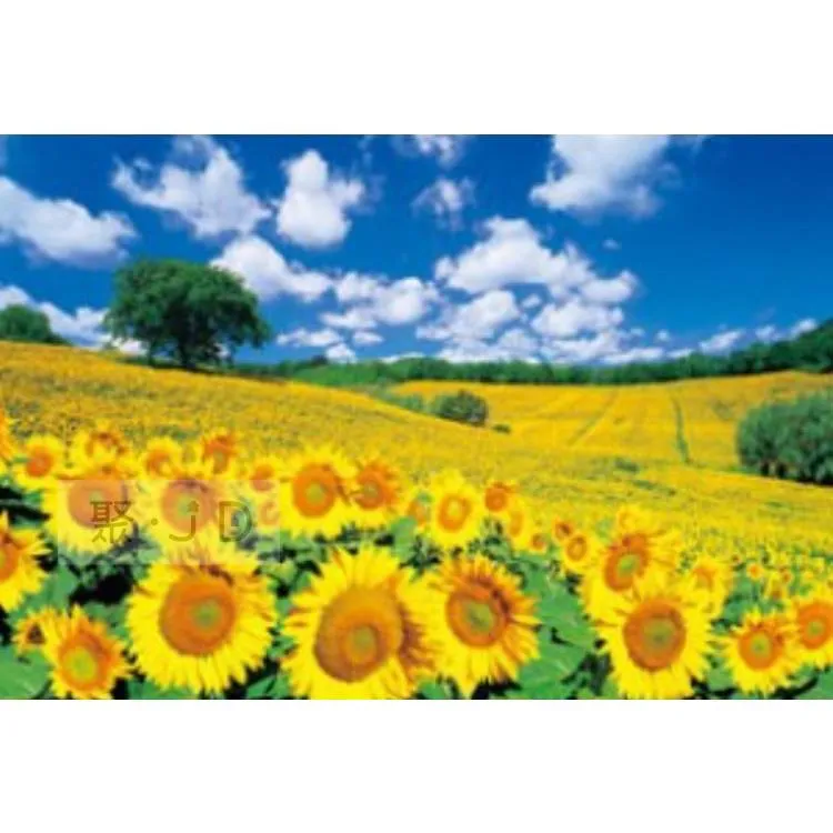 【P2 拼圖】風景系列 陽明山國家公園-繡球花海(520pcs) HPY0520-012 歷史價格詳細信息