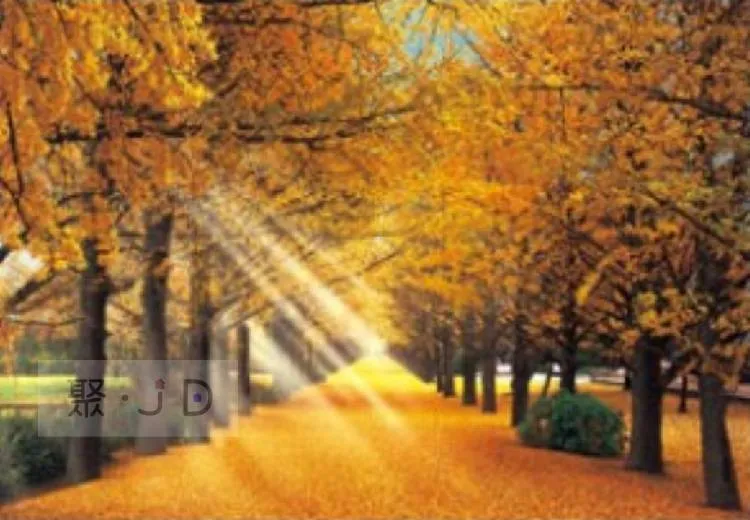 日本地圖金箔木框工藝品(小) 歷史價格詳細信息