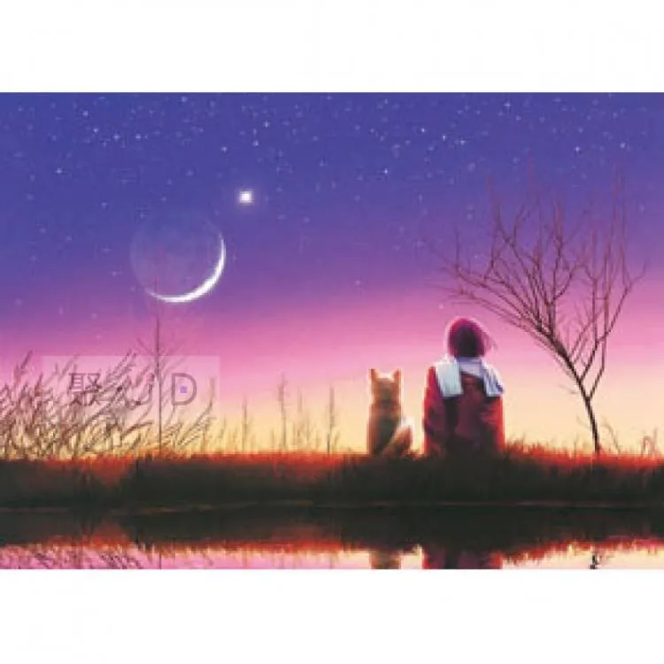 〔520-093〕Shimoda Accessory Case Small , 小型配件袋 相機側背包 內袋 收納包 歷史價格詳細信息