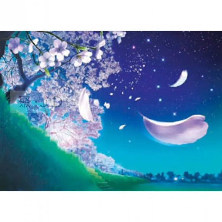 〔520-094〕Shimoda Accessory Case Medium- ,中型配件袋 斜背包 相機肩背包 內袋 歷史價格詳細信息