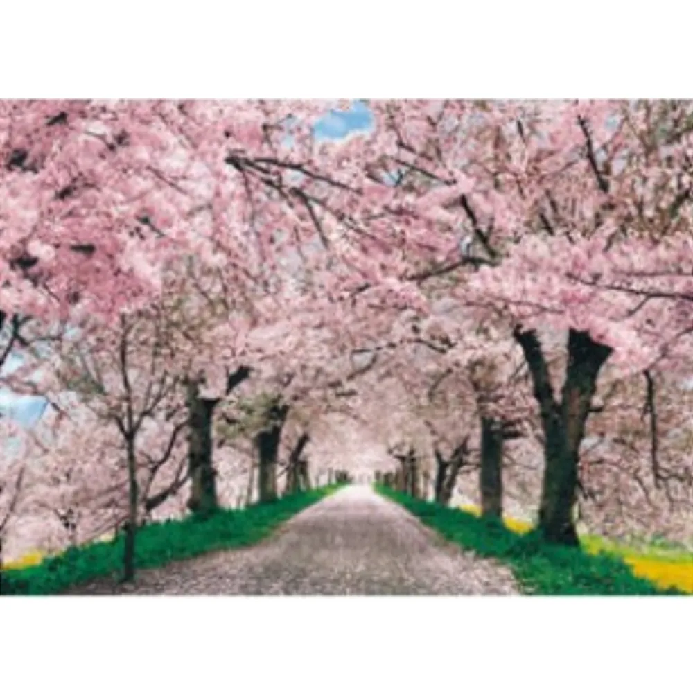 【台製拼圖】HM520-086 夜光-泰迪聖誕 (520片) 歷史價格詳細信息