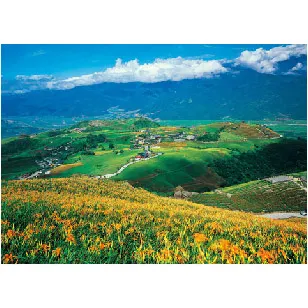 P2拼圖 台灣之美 澎湖七美雙心石滬 1000片拼圖(75x50) 01-019【小瓶子的雜貨小舖】 歷史價格詳細信息