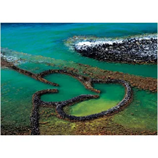 P2拼圖 台灣之美 澎湖七美雙心石滬 1000片拼圖(75x50) 01-019【小瓶子的雜貨小舖】 歷史價格詳細信息