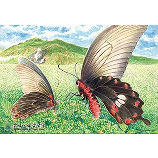 P2 - HP0300S-206 哆啦A夢(繽紛道具)拼圖300片 歷史價格詳細信息