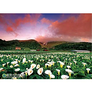 【盛大】拼圖爬爬墊拼接泡沬地墊墊子家用榻榻米臥室爬行墊加厚地板墊 歷史價格詳細信息