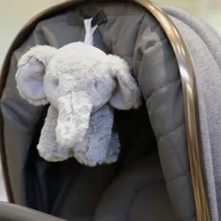 Mamas & Papas 小羊帶隊(尿布墊) 歷史價格詳細信息