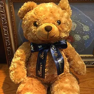 泰迪熊 玫瑰泰迪熊 玫瑰捲毛泰迪熊 70公分$450元生日 情人節包裝美 高鳯屏可取 歷史價格詳細信息