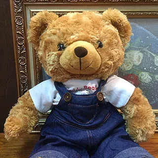 泰迪熊 玫瑰泰迪熊 玫瑰捲毛泰迪熊 70公分$450元生日 情人節包裝美 高鳯屏可取 歷史價格詳細信息
