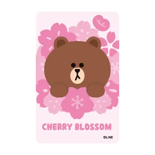 Brown &Friends牛年 熊大收納袋 歷史價格詳細信息