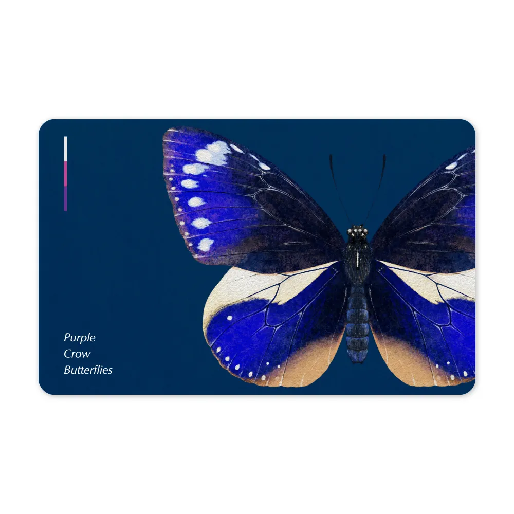 紫斑症-常見的血液疾病~健康生活叢書003 歷史價格詳細信息