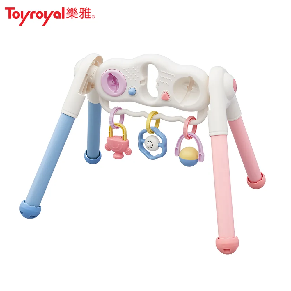 《樂雅 Toyroyal》寶寶玩具禮盒+BABY SECRET有機米菓20gx3袋 歷史價格詳細信息