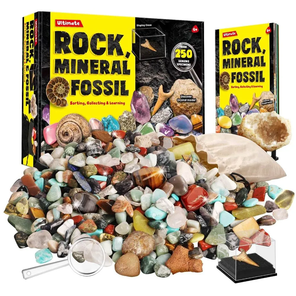 石化工管材盤管機 日化換熱器型材彎曲成型機 金屬管道彎管機 歷史價格詳細信息