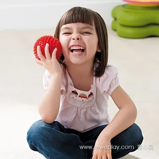 Weplay 觸覺球六件組 歷史價格詳細信息