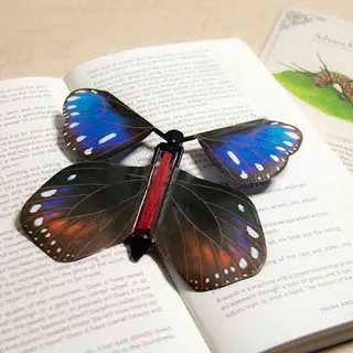 台灣蝴蝶圖鑑（全台首度收錄3種新發現種，與全部66種台灣特有種，附四季賞蝶地圖）【城邦讀書花園】 歷史價格詳細信息