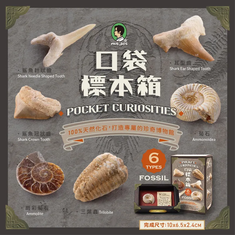 賽先生科學工廠｜化石地質年代玻璃把手高燒杯 歷史價格詳細信息