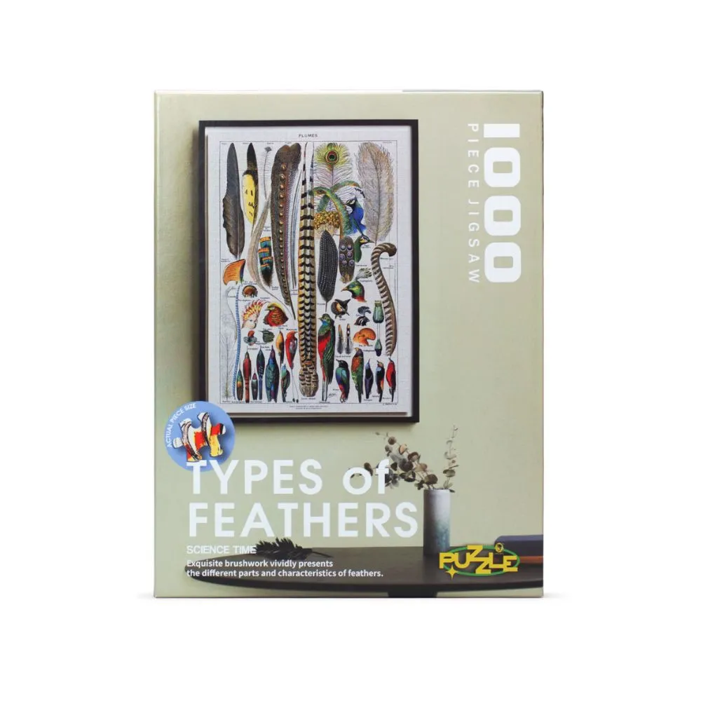 鳥類學家的世界冒險劇場: 從鳥糞到外太空，從暗光鳥到恐龍，沒看過這樣的鳥類學！｜漫遊者文化 歷史價格詳細信息