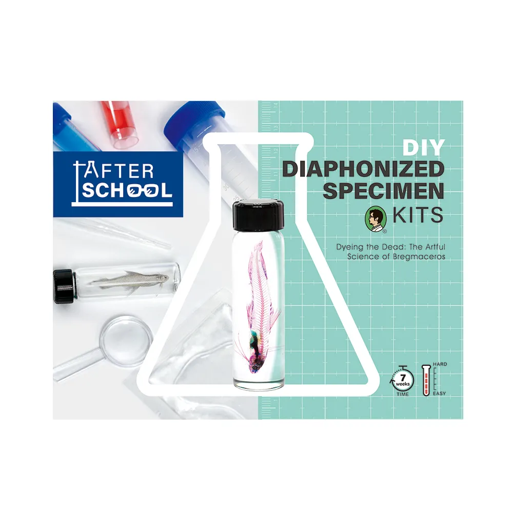 賽先生科學工廠｜透明生物標本-海馬 (5ml) 歷史價格詳細信息