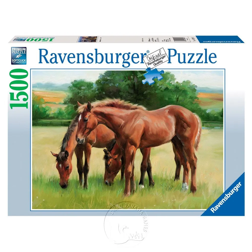 三匹馬F3 電剪立式8寸 10寸 12寸直刀電剪自動磨刀裁剪機電剪刀-雅怡尚品 歷史價格詳細信息