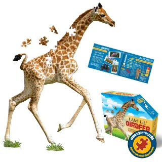 【I AM 拼圖】我是藍樫鳥, 300 系列 歷史價格詳細信息