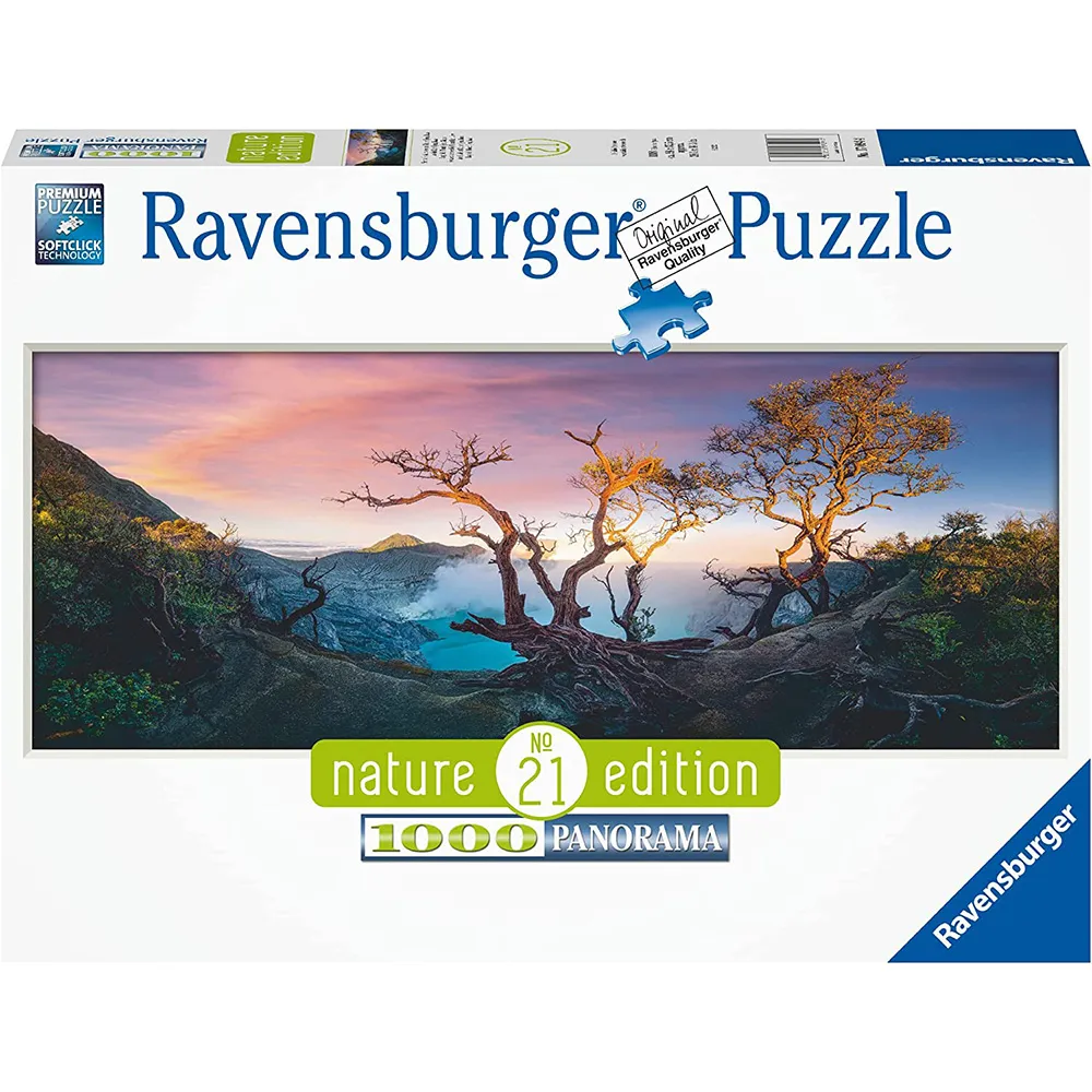 德國Ravensburger 維寶全景拼圖-紐約(1000P) 歷史價格詳細信息