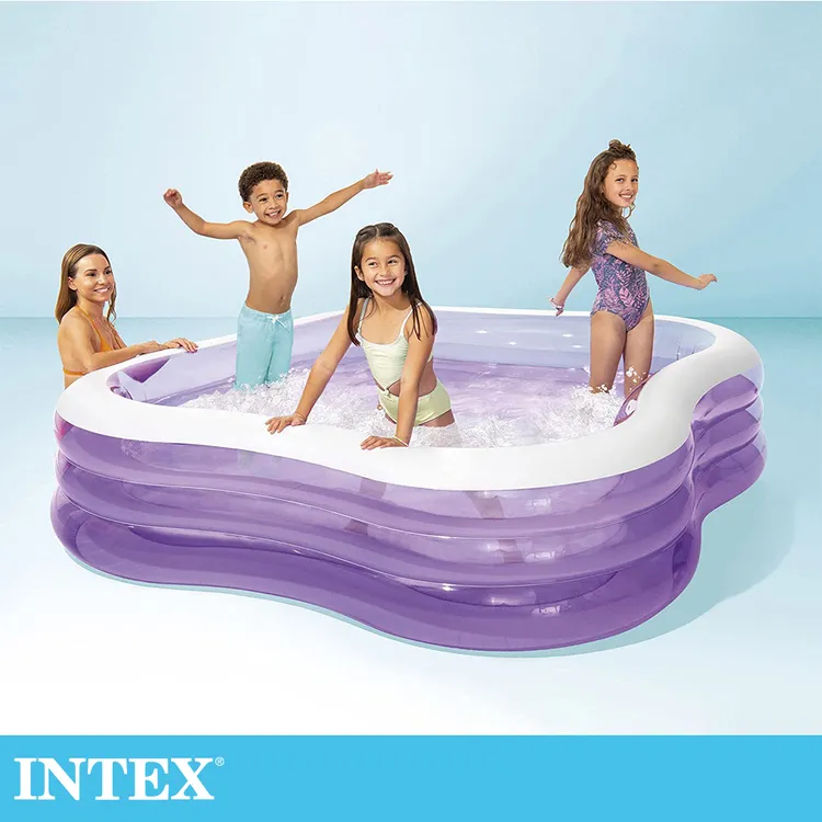INTEX 大型把手泳圈 可當漂漂船 內直徑約29-30cm 58202 歷史價格詳細信息