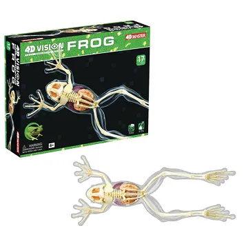 《4D MASTER》全透視青蛙 價格比較,價格查詢,歷史價格詳細信息